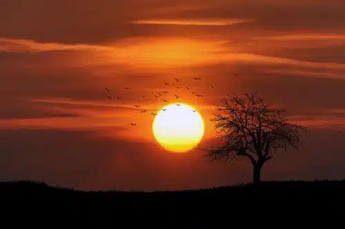 Sonne als das Himmelsfeuer