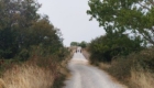 slider00016