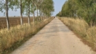 slider00019