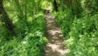 slider00033